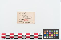 Etiketten zu Bronzehelmscheibe (NHMW-PRAE-025056)
